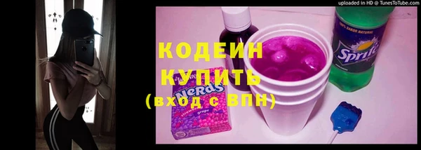 2c-b Гусев