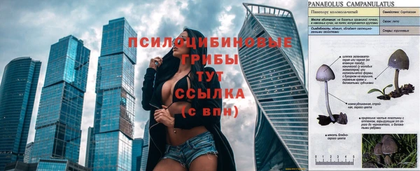 мет Сосновый Бор