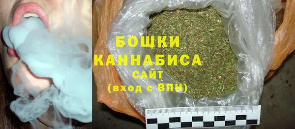 ГАЛЛЮЦИНОГЕННЫЕ ГРИБЫ Гусиноозёрск