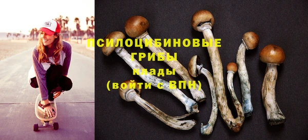 экстази Гусь-Хрустальный